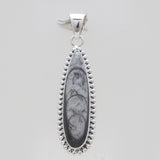 Orthoceras Fossil Silver Pendants