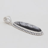 Orthoceras Fossil Silver Pendants