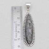 Orthoceras Fossil Silver Pendants
