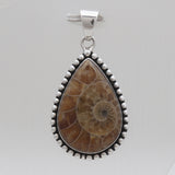 925 Sterling Silver Ammonite Pendants