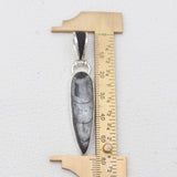 Orthoceras & Stingray Loop Silver Pendants
