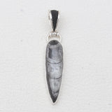 Orthoceras & Stingray Loop Silver Pendants
