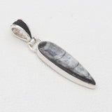 Orthoceras & Stingray Loop Silver Pendants