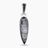 Orthoceras & Stingray Loop Silver Pendants