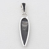 Orthoceras & Stingray Loop Silver Pendants