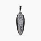 Orthoceras & Stingray Loop Silver Pendants