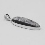 Orthoceras & Stingray Loop Silver Pendants