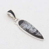 Orthoceras & Stingray Loop Silver Pendants