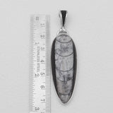 Orthoceras & Stingray Loop Silver Pendants