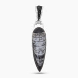 Orthoceras & Stingray Loop Silver Pendants