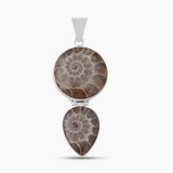 925 Sterling Silver Ammonite Fossil Pendants