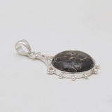 Turritella Agate Silver Pendants