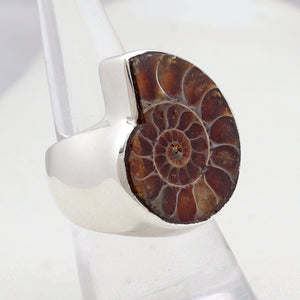 925 Sterling Silver Ammonite Ring