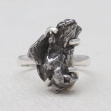 925 Sterling Silver Meteorite Rings