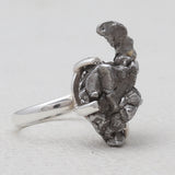 925 Sterling Silver Meteorite Rings