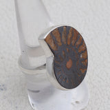 Ammonite Ring Silver Ring