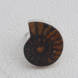 Ammonite Ring Silver Ring