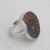 Ammonite Ring Silver Ring