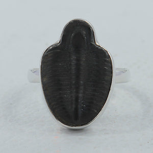 Trilobite Silver Rings