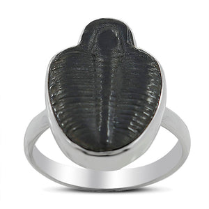 Trilobite Silver Rings