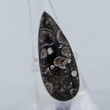 Turritella Agate Gemstone 925 Sterling Silver Ring