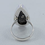 Turritella Agate Gemstone 925 Sterling Silver Ring