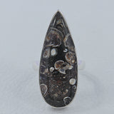 Turritella Agate Gemstone 925 Sterling Silver Ring