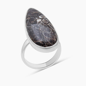 925 Silver Turritella Agate Rings