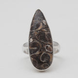 925 Silver Turritella Agate Rings