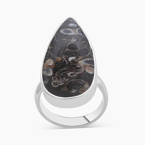 925 Silver Turritella Agate Rings