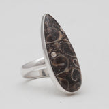 925 Silver Turritella Agate Rings