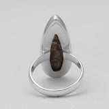 925 Silver Turritella Agate Rings
