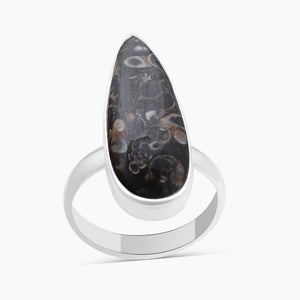 925 Silver Turritella Agate Rings