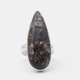 925 Silver Turritella Agate Rings