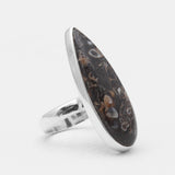 925 Silver Turritella Agate Rings