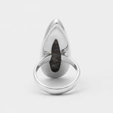 925 Silver Turritella Agate Rings