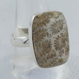 Fossil Coral Silver Ring