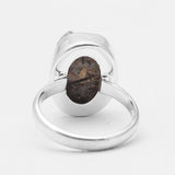 Raw Astrophyllite Gemstone Silver Rings