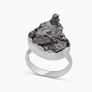 Meteorite Silver Rings