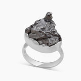 Meteorite Silver Rings