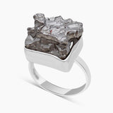 Meteorite Silver Rings