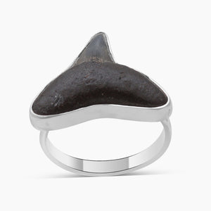 Fossilized Shark Tooth Sterling Silver Rings