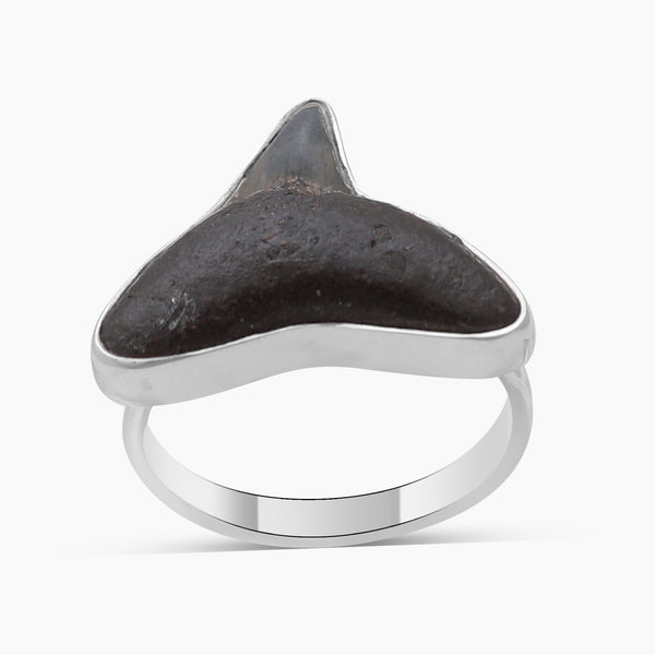 Fossilized Shark Tooth Sterling Silver Rings