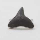 Fossilized Shark Tooth Sterling Silver Rings