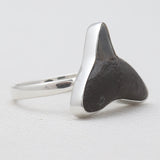 Fossilized Shark Tooth Sterling Silver Rings