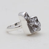 Meteorite Silver Rings