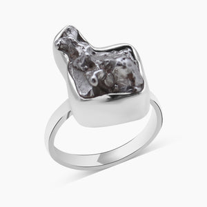 Meteorite Silver Rings