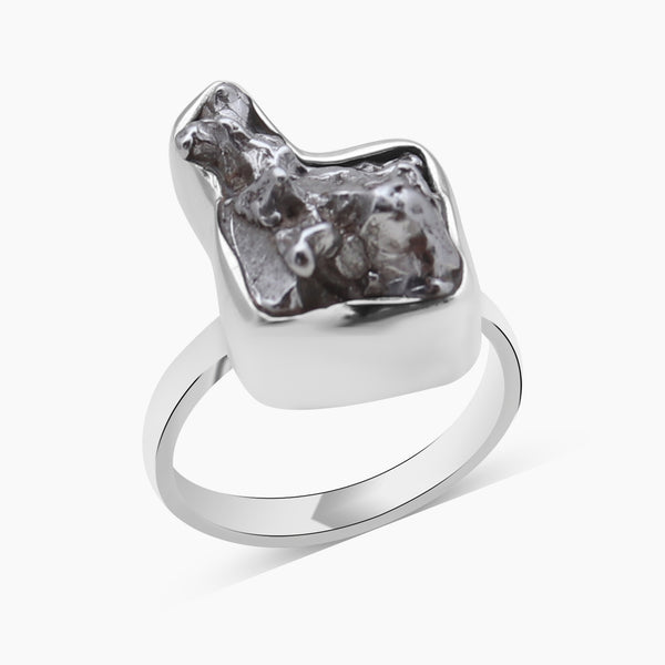 Meteorite Silver Rings