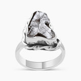 925 Sterling Silver Meteorite Rings