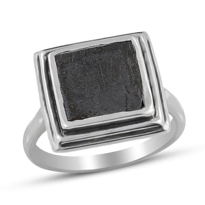 Muonionalusta Meteorite Silver Men's Ring